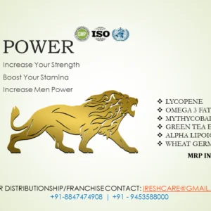 I – POWER