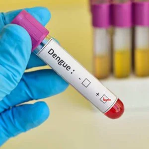 Dengue Test